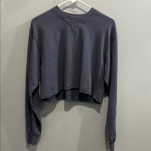 Aritzia Charcoal Cropped Long Sleeve